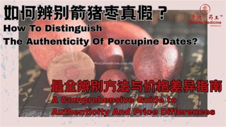 A Comprehensive Guide To Authenticity