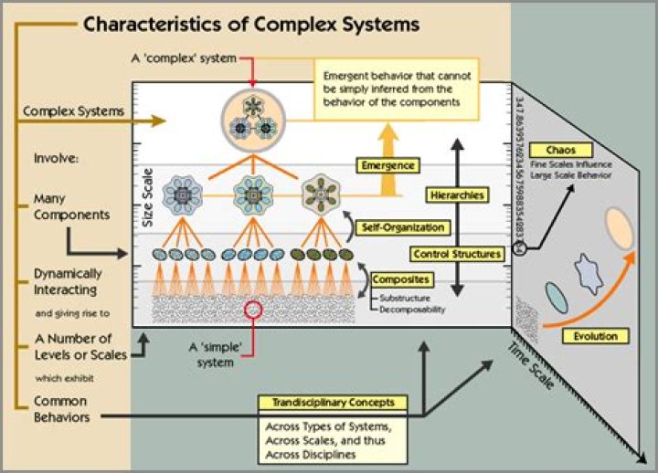 A Guide To Visualizing Complex Systems