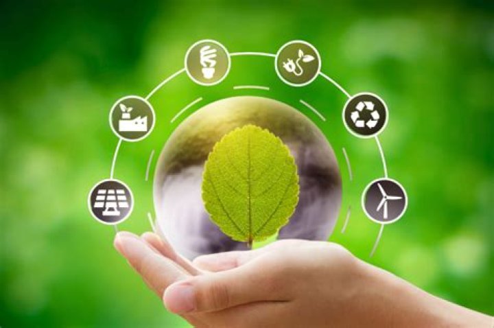 Eco-Conscious Insights For The Soul