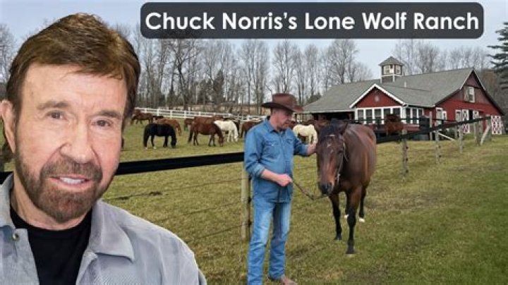 Exploring Inside Chuck Norris's Texas Ranch Where The Legend Lives
