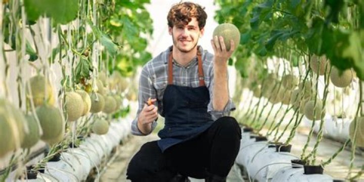 Unveiling The Enigma Of "Melonfarmerswife": Discoveries And Insights Await!